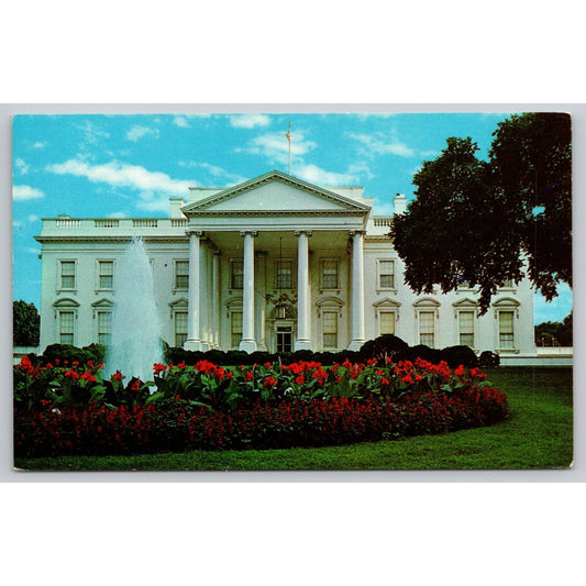 Postcard Washington D.C. The White House 14228