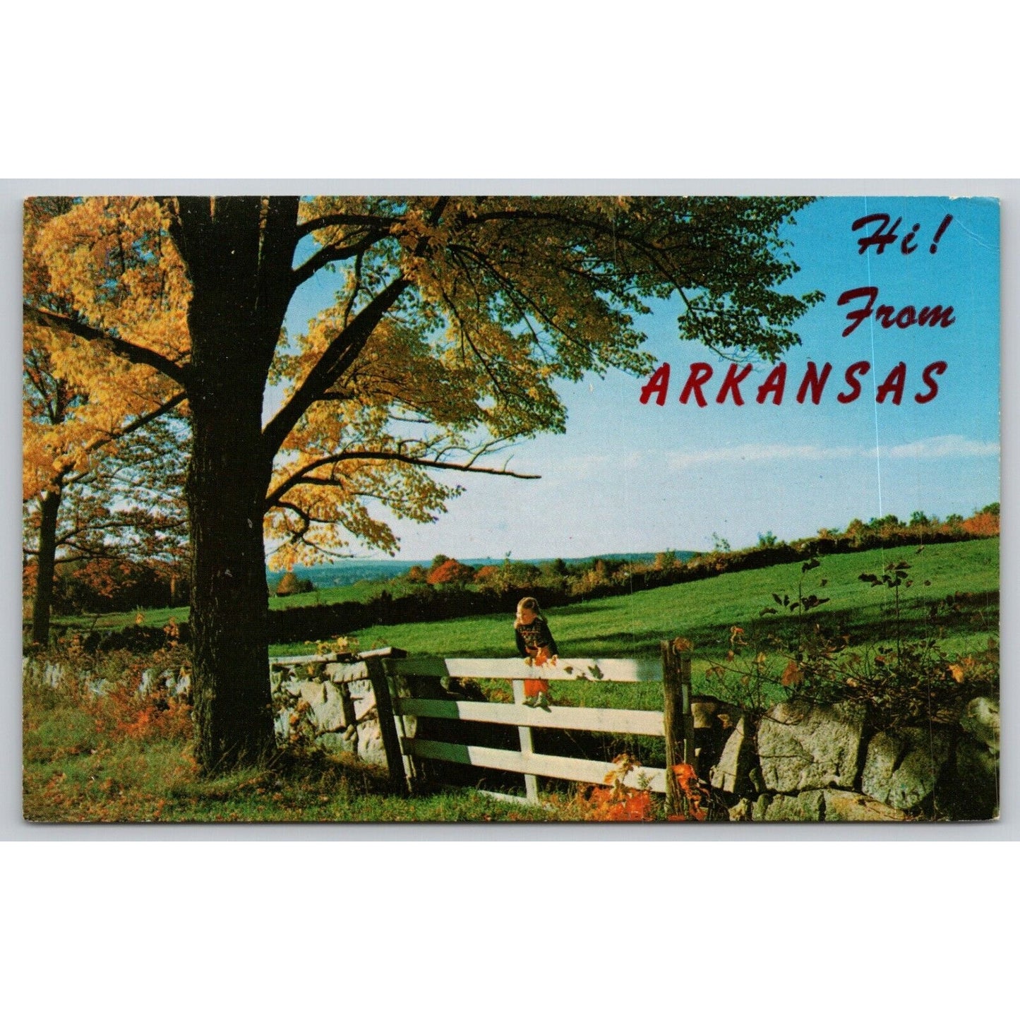 Postcard AR Hi From Arkansas