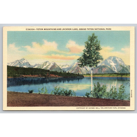 Postcard WY Grand Teton National Park Teton Mountains And Jackson Lake