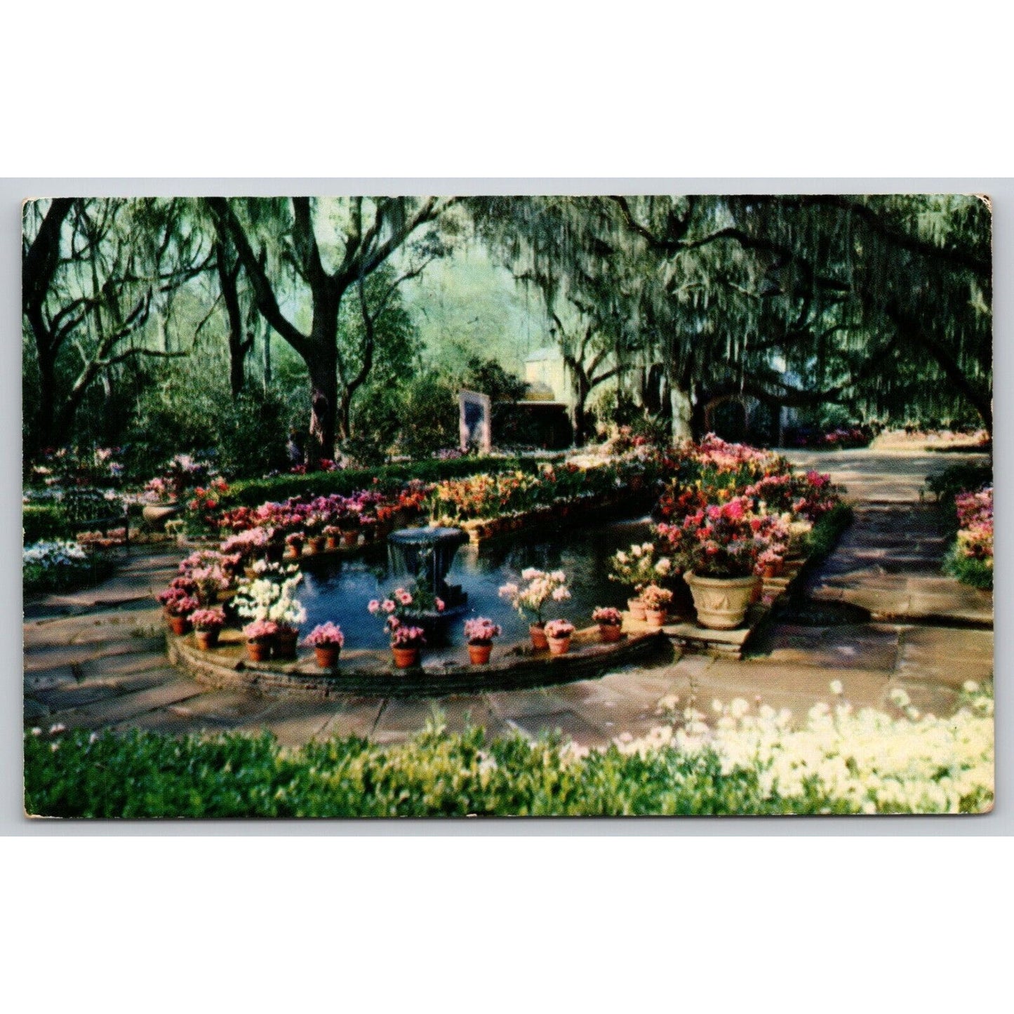 Postcard AL Mobile Bellingrath Gardens Fountain And Pool UNP B16