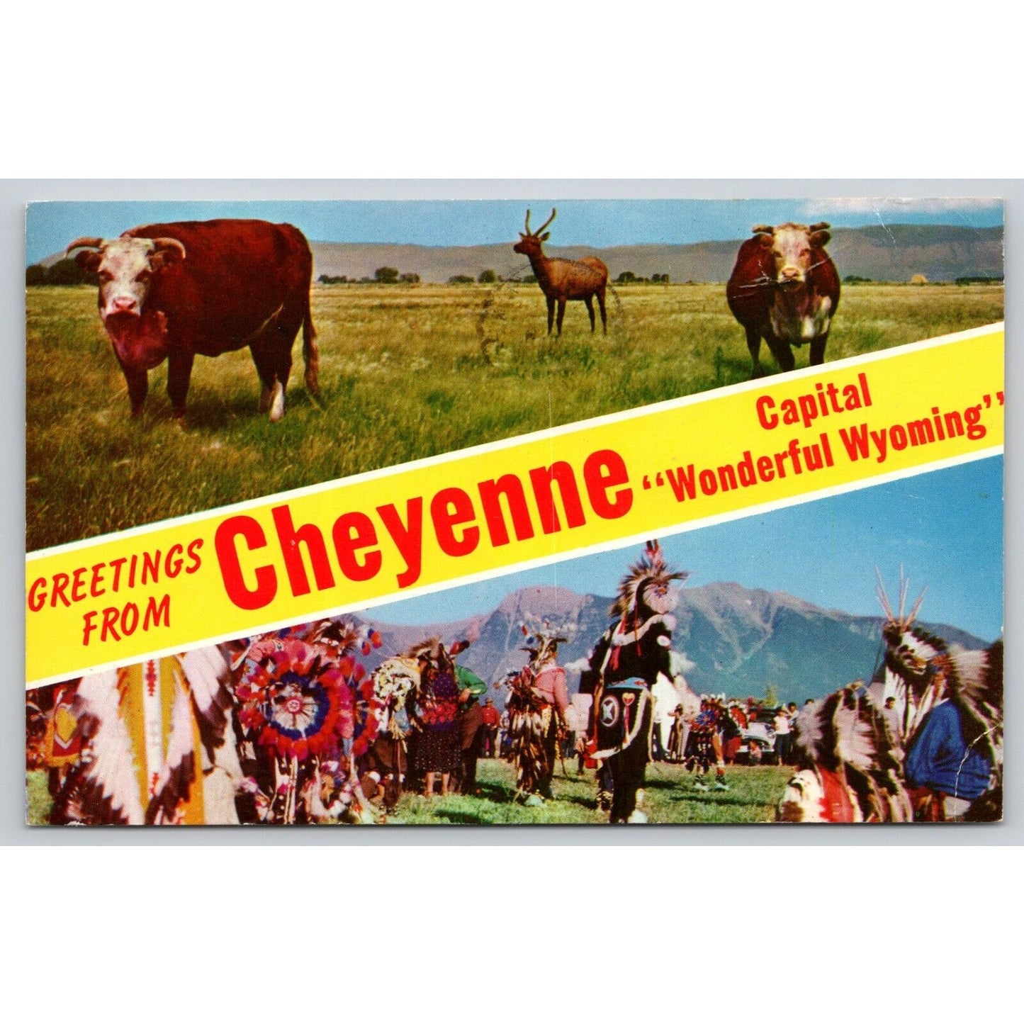 Postcard WY Cheyenne Greetings From Cheyenne Wyoming UNP B13