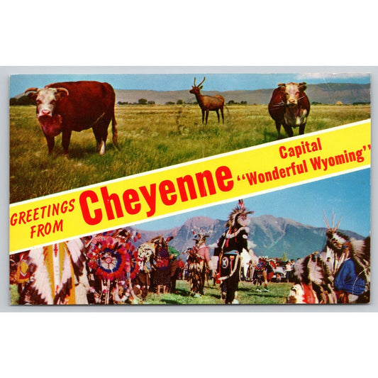 Postcard WY Cheyenne Greetings From Cheyenne Wyoming UNP B13