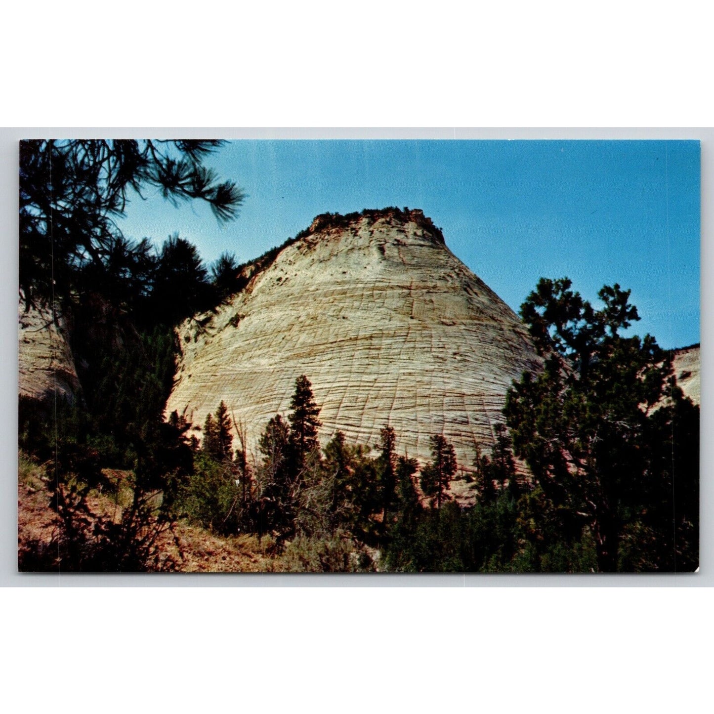 Postcard UT Utah Zion National Park Checkerboard Mesa Near Entrance UNP A21