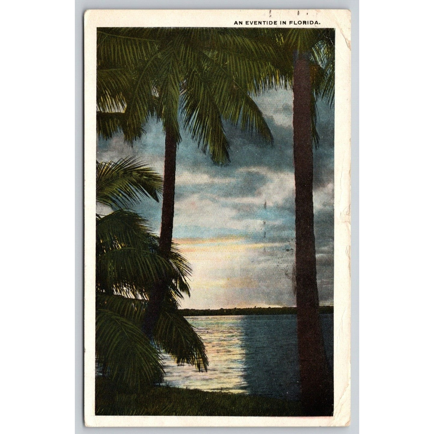 Postcard An Eventide In Florida WB A24