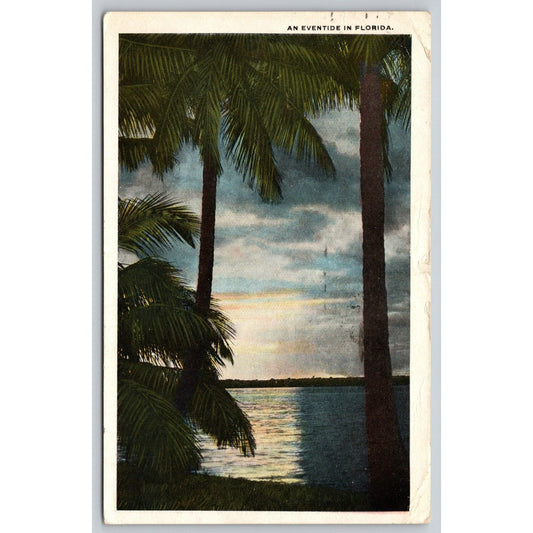 Postcard An Eventide In Florida WB A24