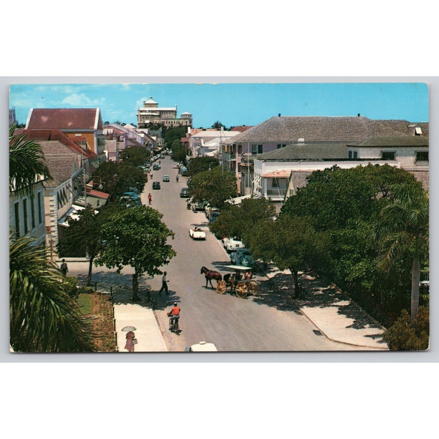 Postcard Bahamas Nassau Bay Street Classic Cars Horse