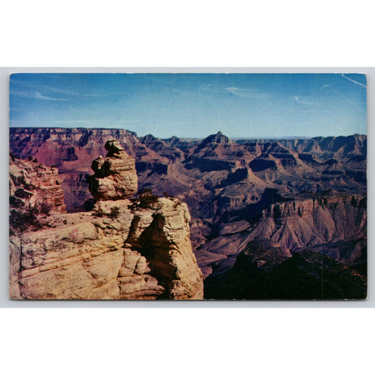 Postcard AZ Grand Canyon National Park Duck-On-The-Rock