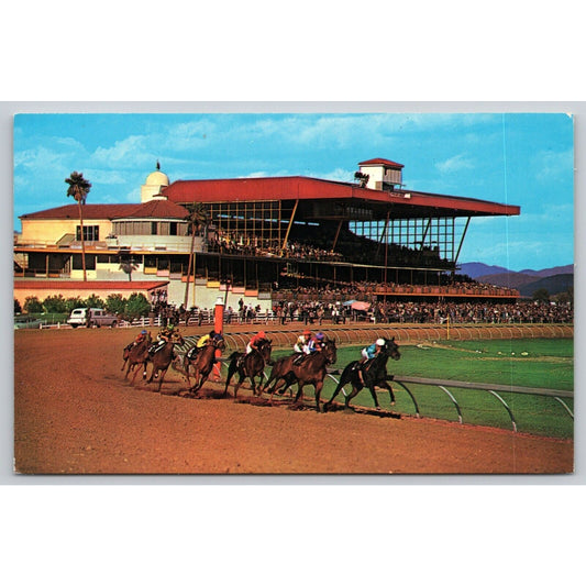 Postcard AZ Phoenix Turf Paradise Winter Season