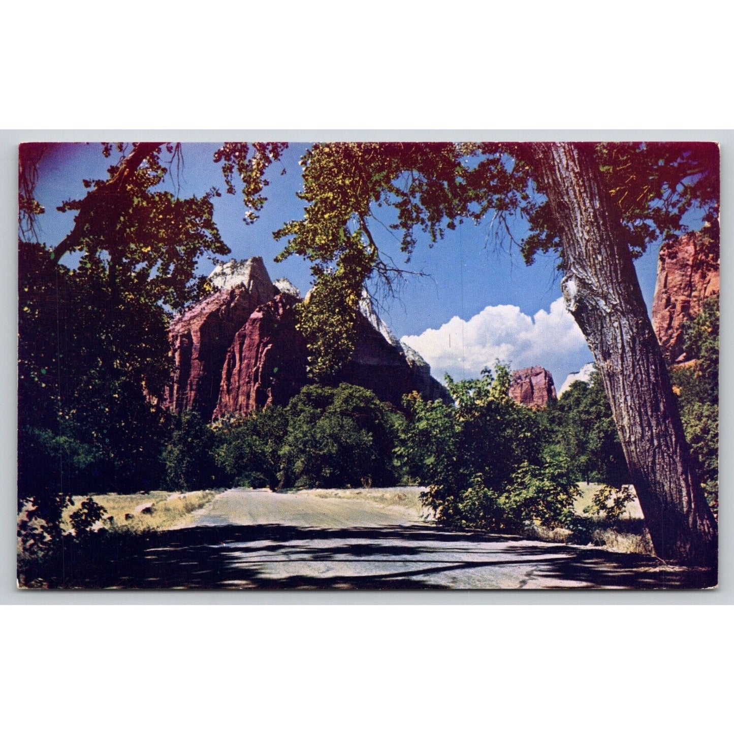 Postcard Utah Salt Lake City Zion National Park Chrome UNP A22