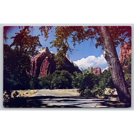 Postcard Utah Salt Lake City Zion National Park Chrome UNP A22