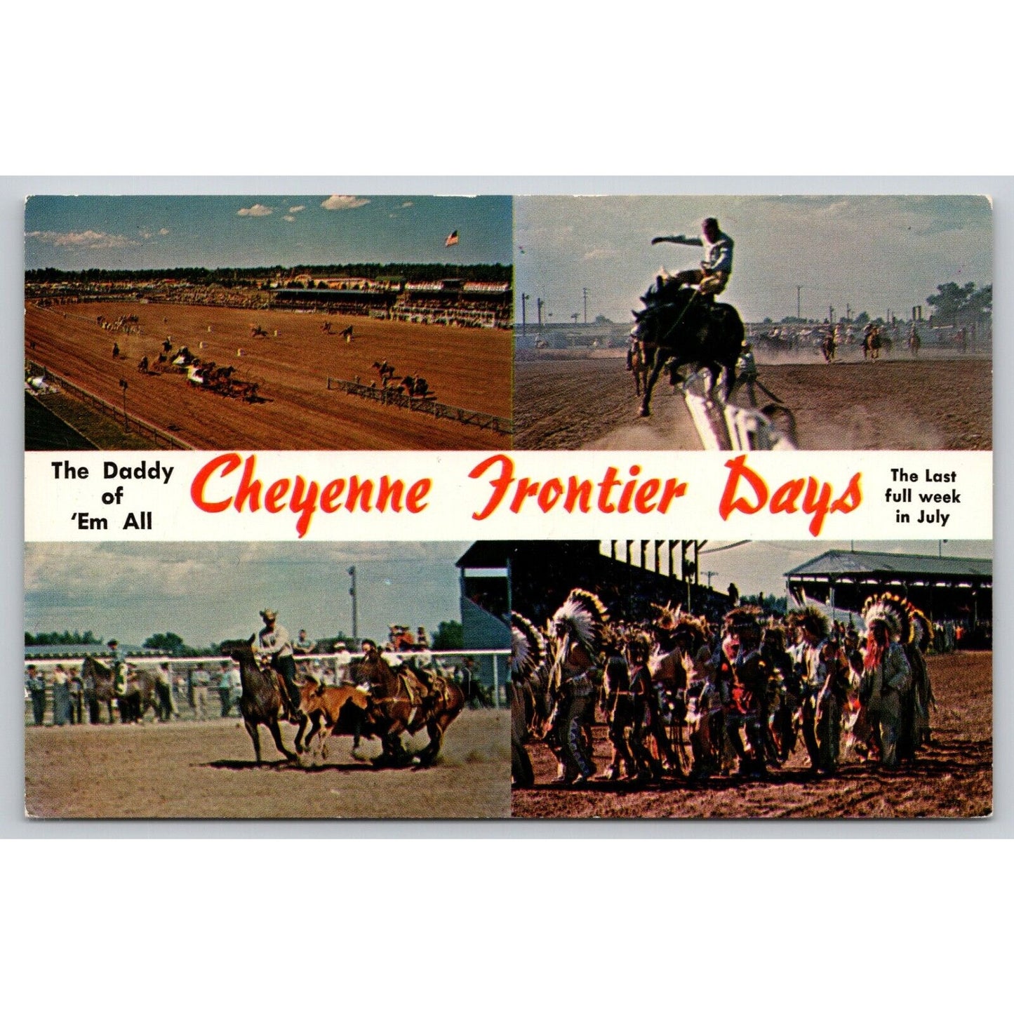 Postcard WY Cheyenne Frontier Days Chuck Wagon Races Bronc Riding UNP B7