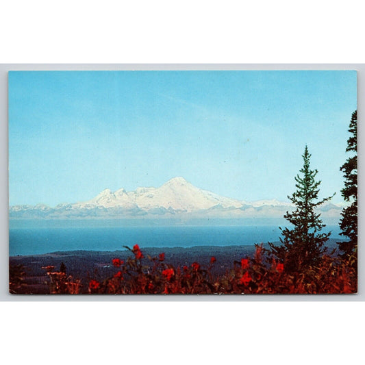 Postcard Alaska Homer Mt Iliamna UNP B17