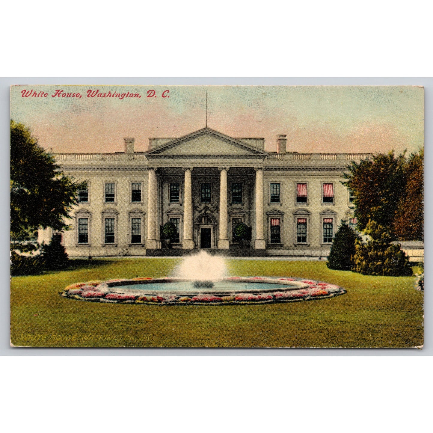 Postcard Washington D.C. White House 11359