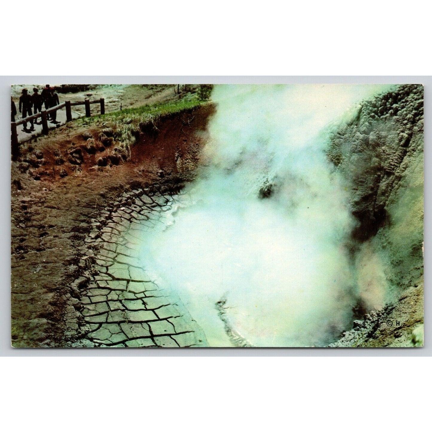 Postcard WY Yellowstone National Park Mud Volcano 12127