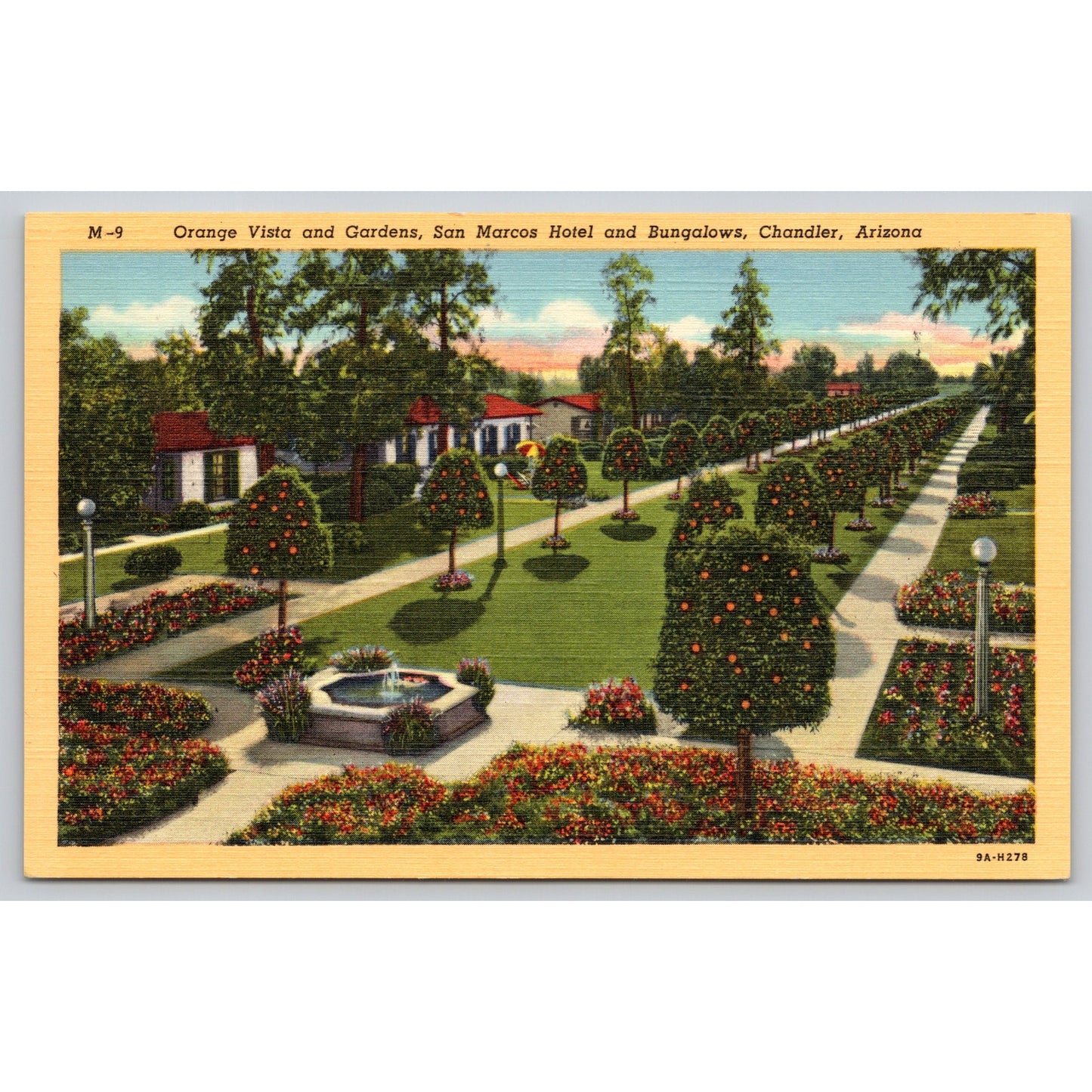 Postcard AZ Chandler Orange Vista And Gardens San Marcos Hotel And Bungalows