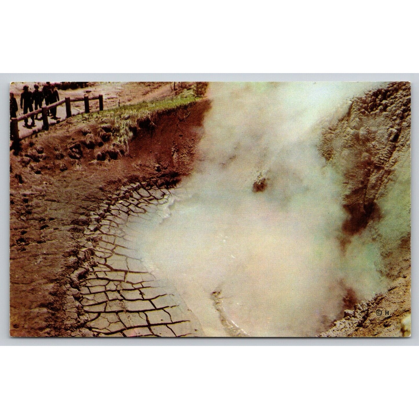 Postcard WY Yellowstone National Park Mud Volcano 12218