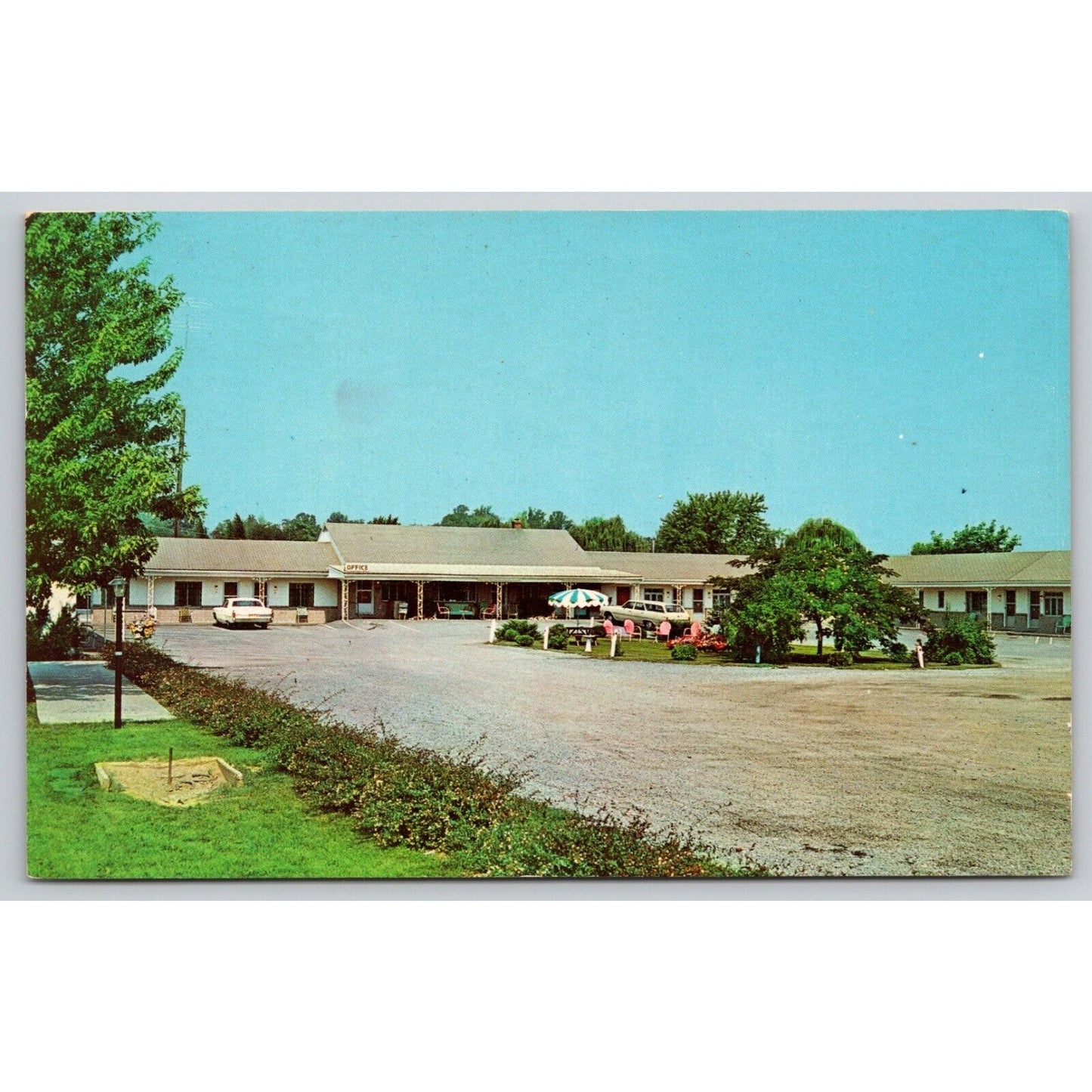 Postcard WV Martinsburg Wheatland Motel