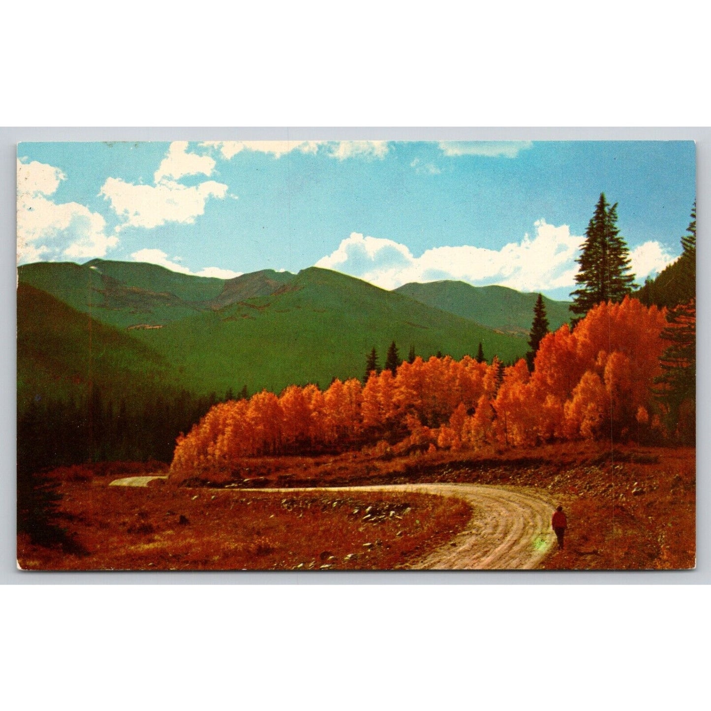 Postcard WY Rocky Mountains Golden Siesta