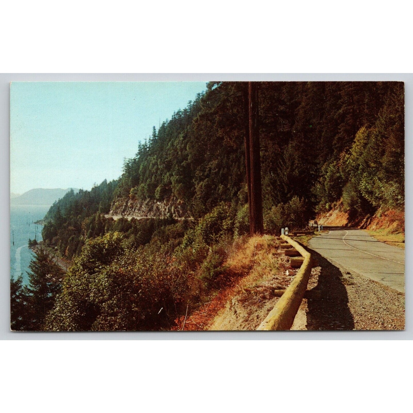 Postcard WA Bellingham Chuckanut Drive