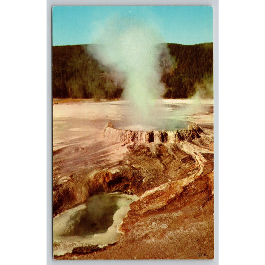 Postcard Wy Yellowstone National Park Punch Bowl Spring Upper Geyser