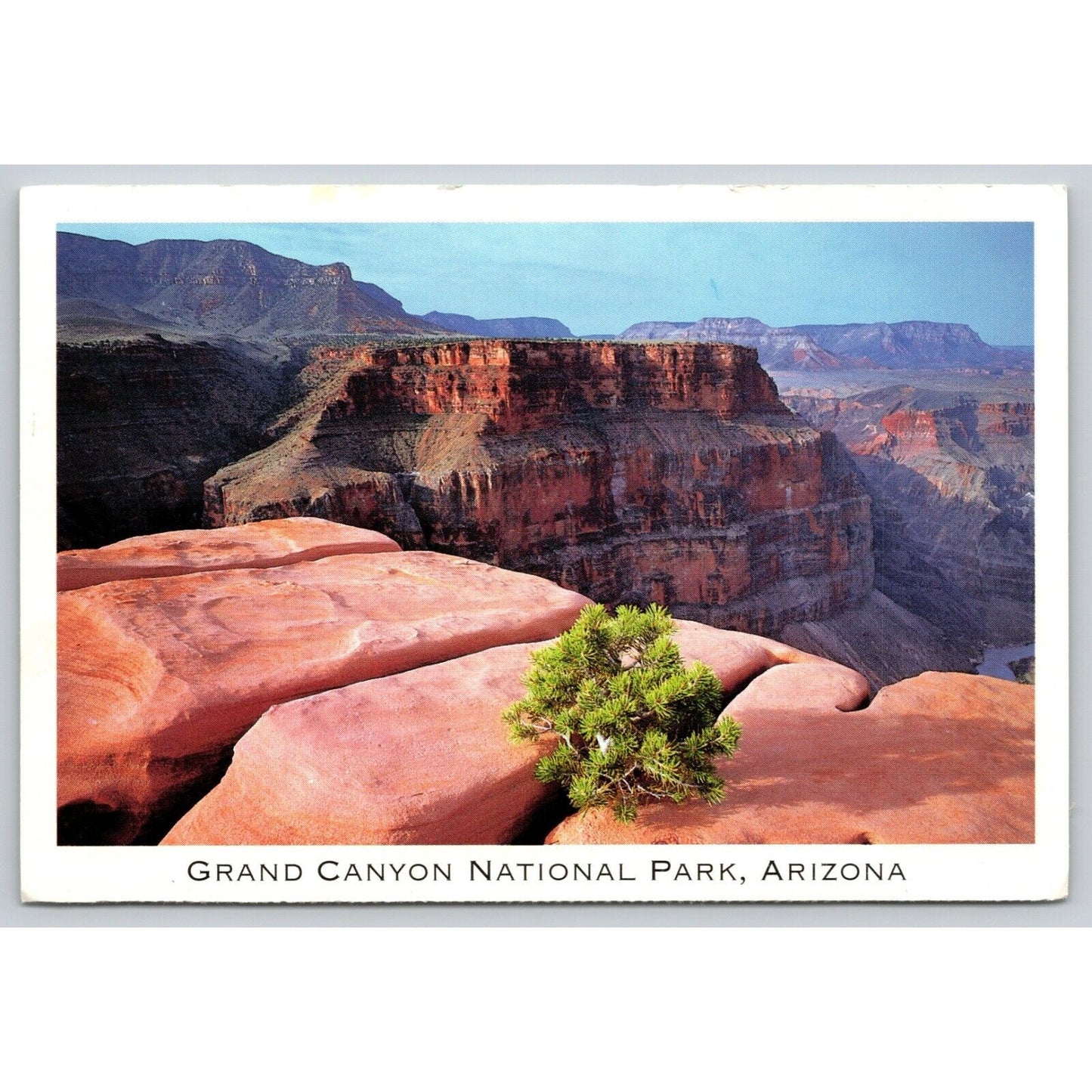 Postcard AZ Grand Canyon National Park