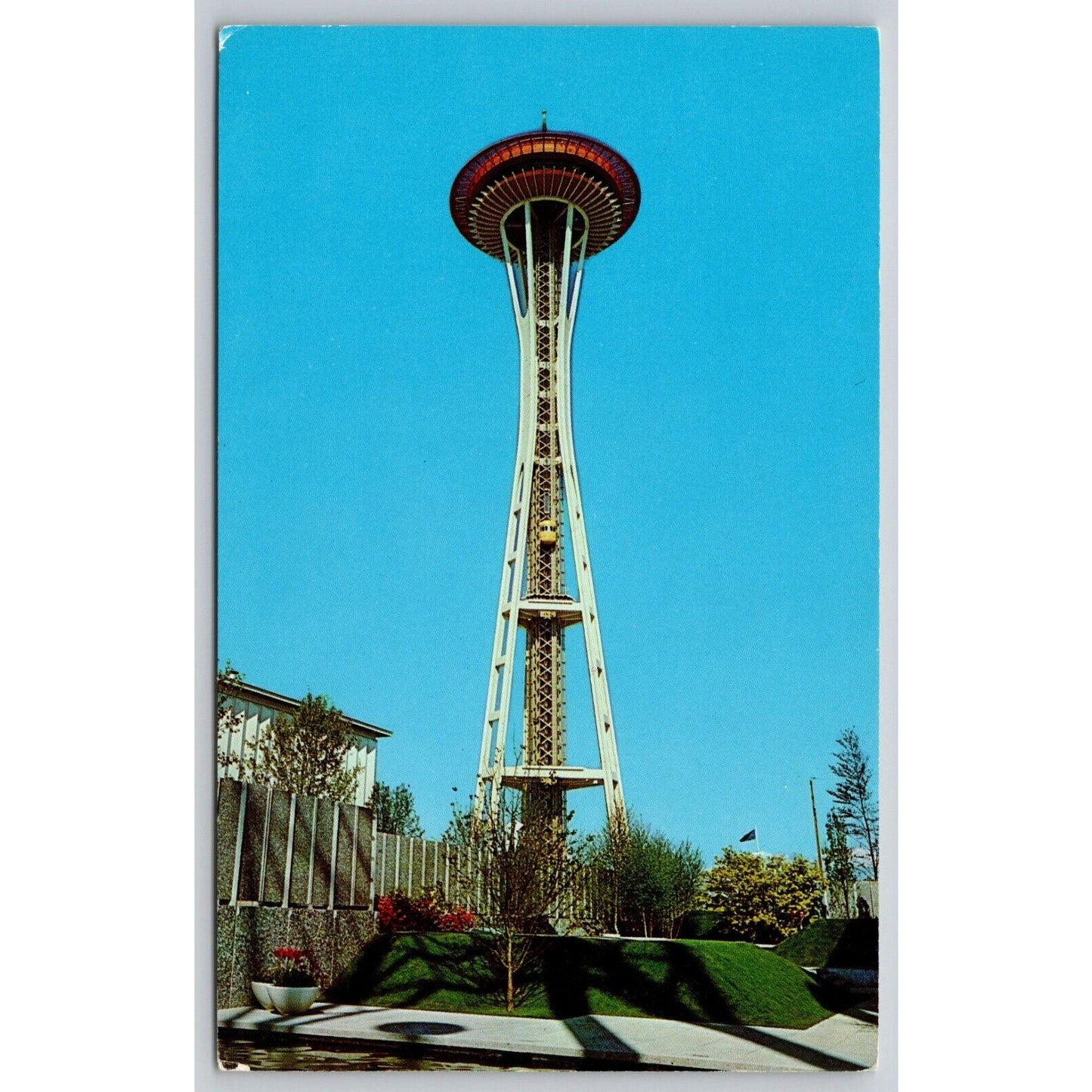 Postcard WA Seattle The Space Needle