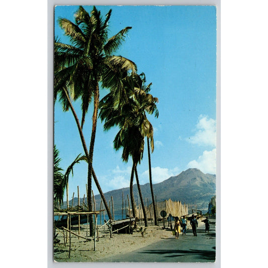 Postcard Virgin Islands Martinique Carbet Beach And The Mount Pele Volcano