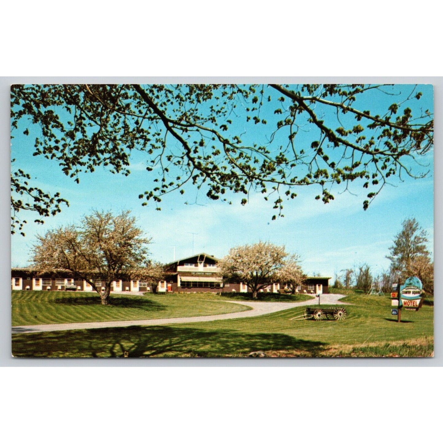 Postcard VT Rutland The Country Squire Motel