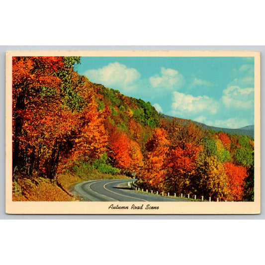 Autumn Road Scene Postcard CK-399 Made In USA Curteichcolor