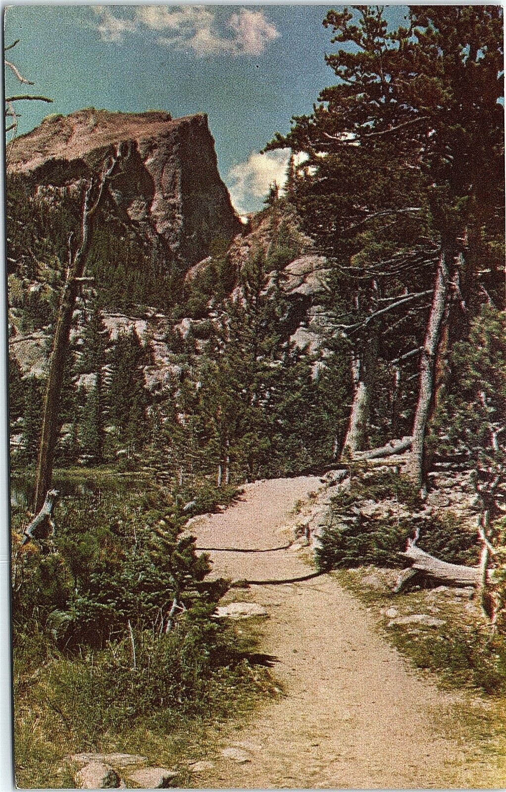 A Typical Trail In Rocky Mountain National Park Colorado Postcard