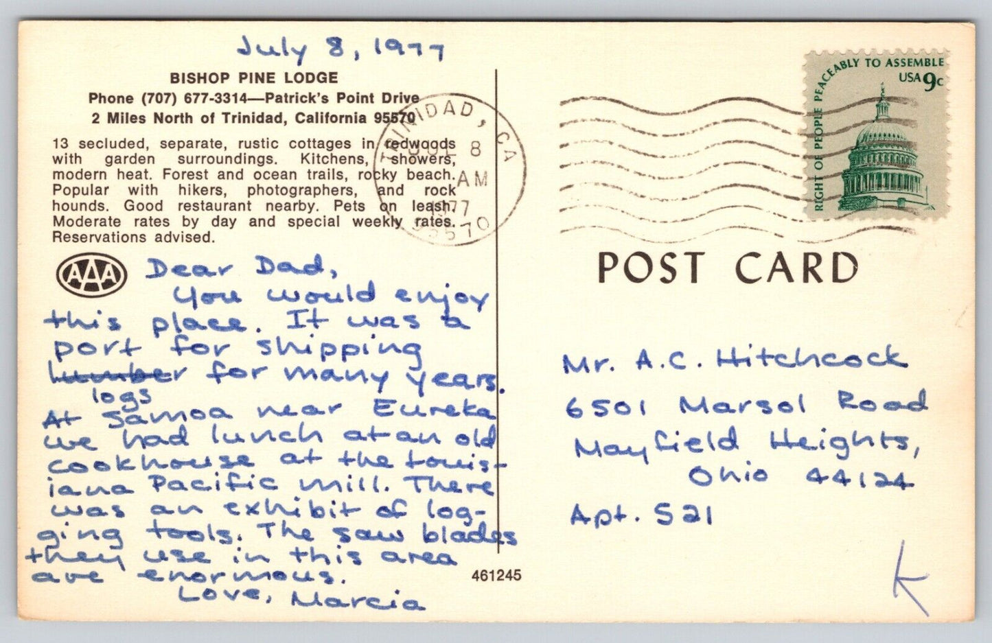 Postcard CA Trinidad Bishop Pine Lodge